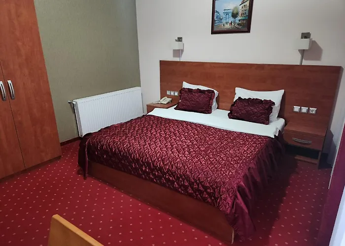 Aleksandar ホテル *