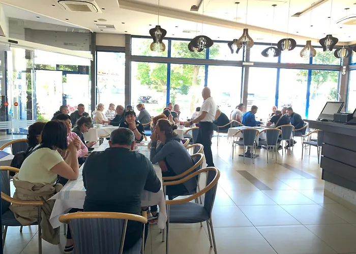 Aleksandar Otel Pojate